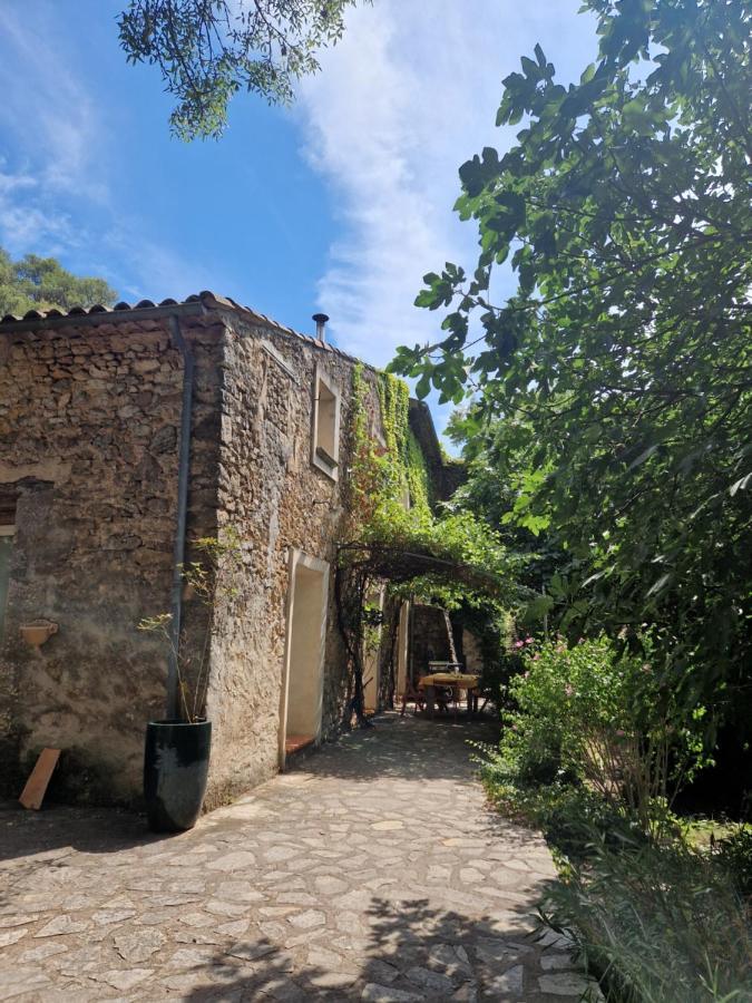 Les Chambres De L'Issole- Le Mas De Maupasset Cabasse Exterior photo